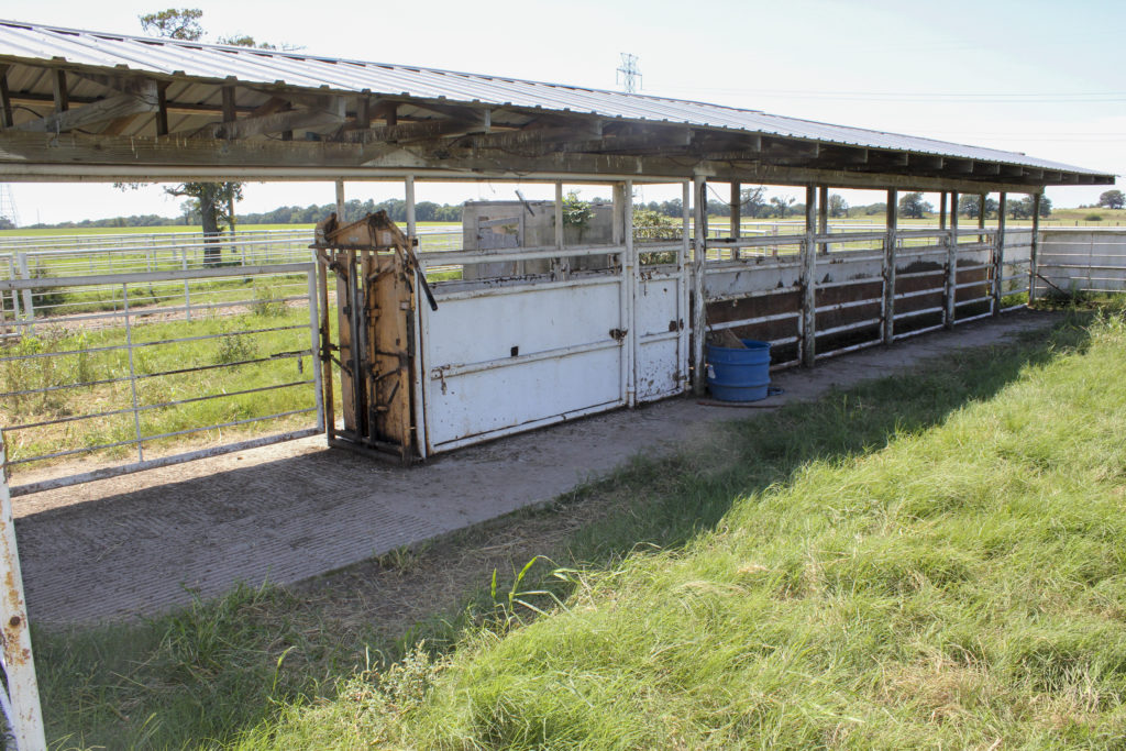 Express Ranches Shawnee Division Cj Auctions