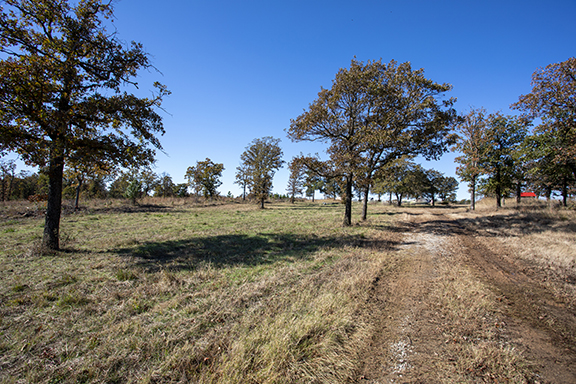 Image: 40 acre Bristow, OK