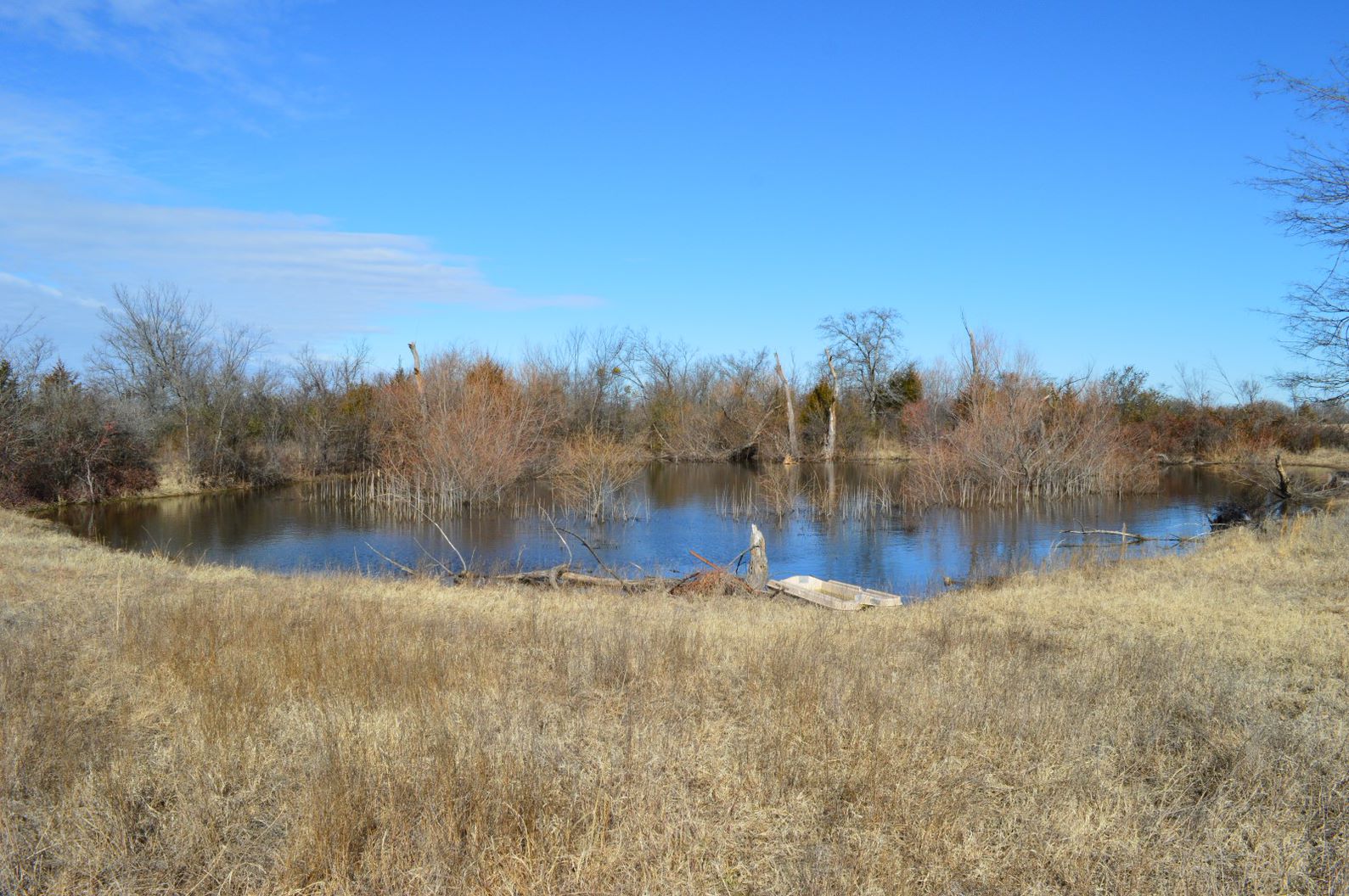 Image: 43.9 Acres on Coyote Trail