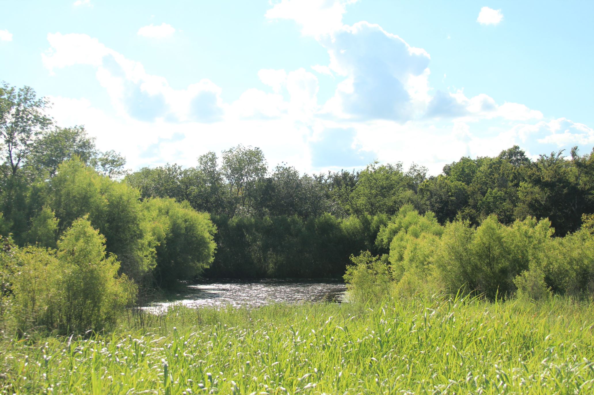 Image: Deep Fork Bottom Land