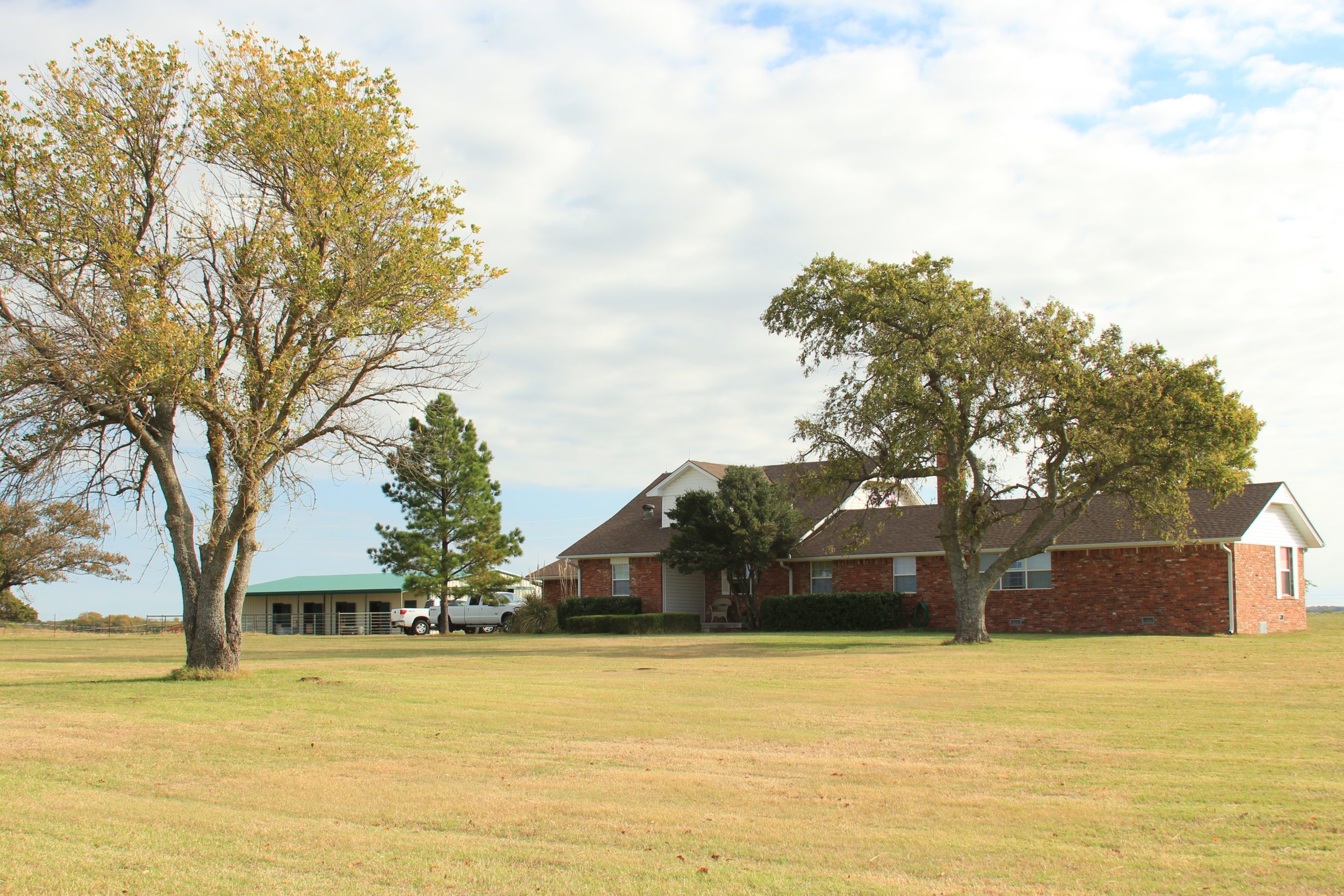 Image: Sulphur Horse Ranch Auction